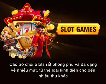 Đá Gà D9BET