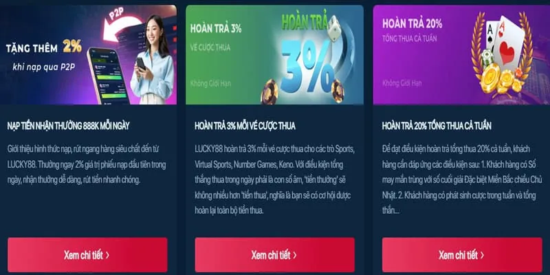Hoàn trả hàng ngày d9bet